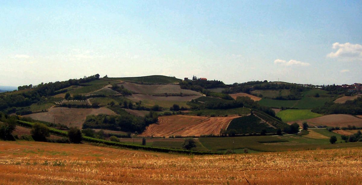 Monferrato - Hügel