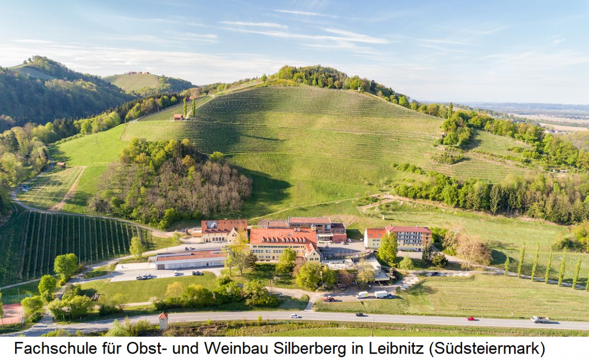 Fachschule für Obst- und Weinbau Silberberg in Leibnitz (Südsteiermark) mit oberhalb den Rieden Glaser und Steinbruch
