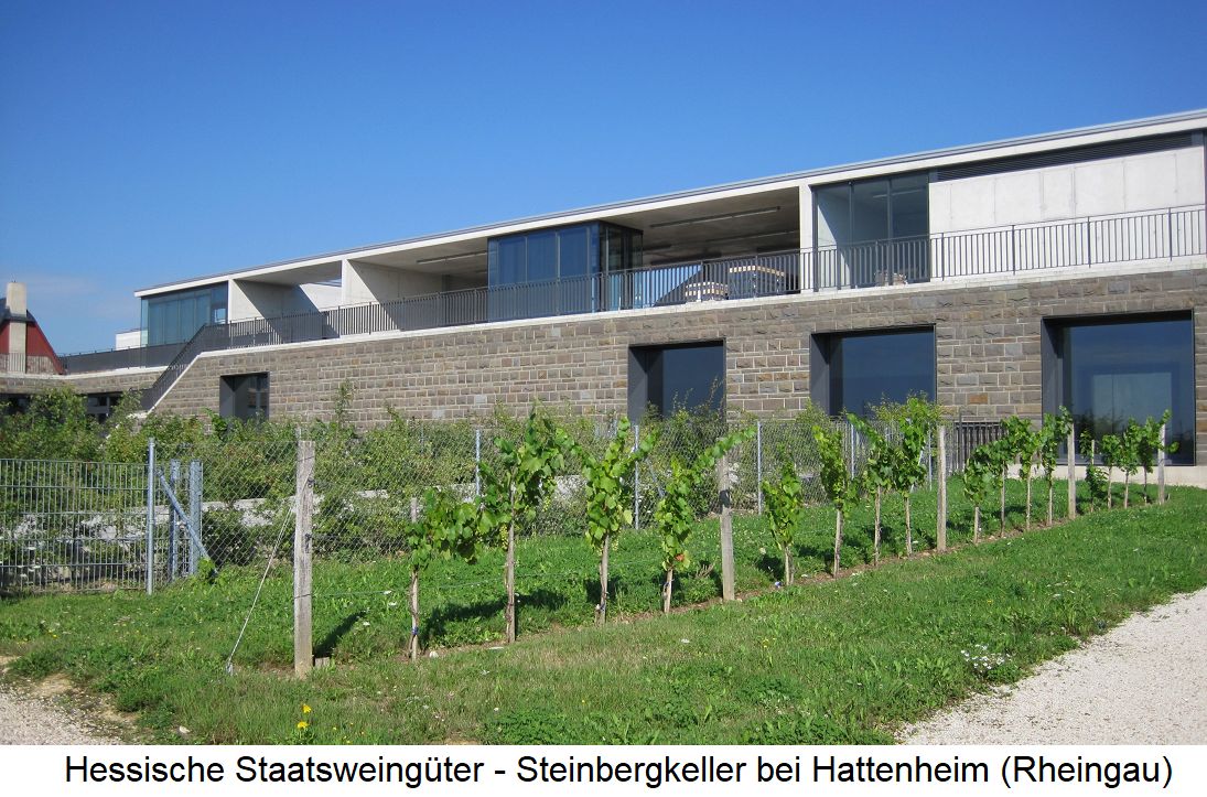 Hessische Staatsweingüter - Steinbergkeller bei Hattenheim (Rheingau)