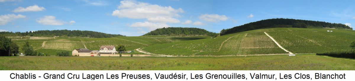 Chablis - Grand Cru Lagen Les Preuses, Vaudésir, Les Grenouilles, Valmur, Les Clos und Blanchot 