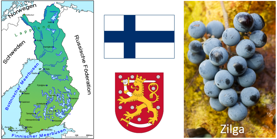 Finnland - Karte, Flagge, Wappen und Traube