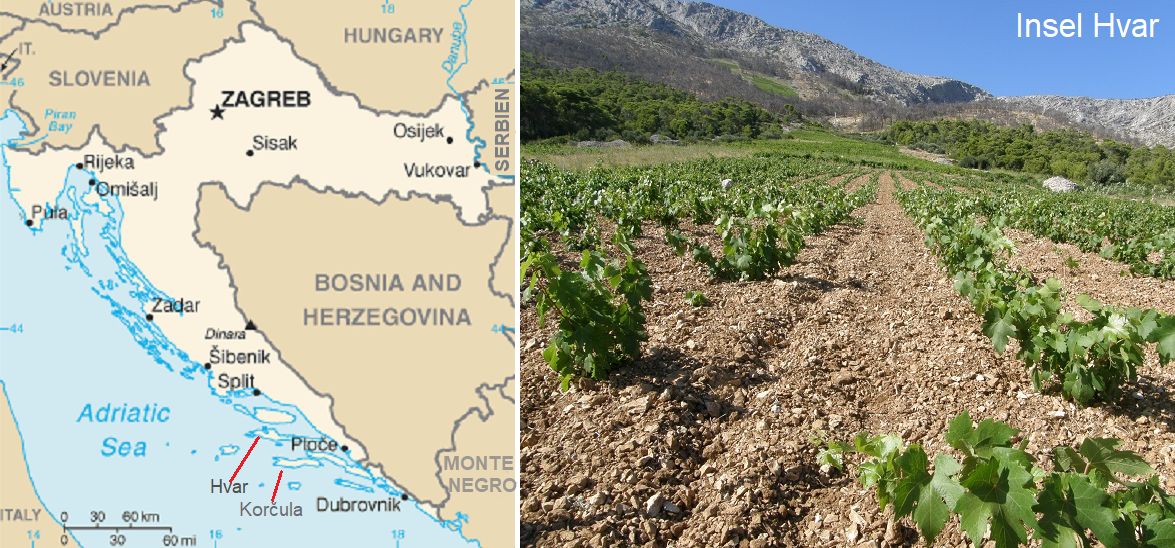 Kroatien - Landkarte und Weingärten auf der Insel Hvar