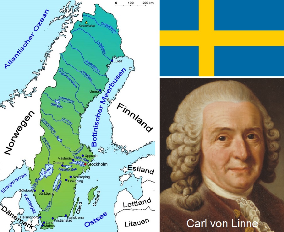Schweden - Landkarte, Flagge und Carl von Linne Porträt
