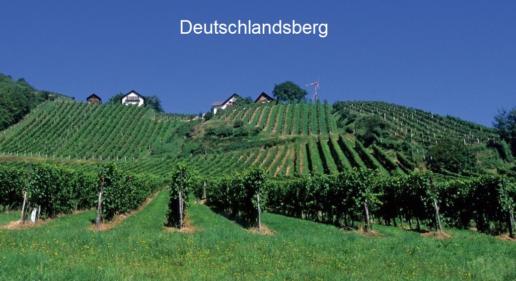 Weststeiermark - Deutschlandsberg Rebflächen