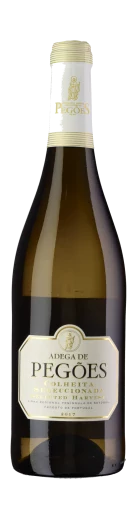 Bottle Image