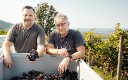 Weingut Doppelgarage Varnhalt