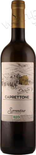 2019 Vesuvio Caprettone DOP "Benita '31"