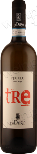2018 Venezia DOC Pinot Grigio "Motolo - tRe"