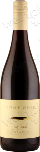 2016 Pinot Noir trocken