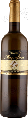 2017 Colli Bolognesi DOC "Magnificat"