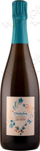 Champagne AOC Extra Brut "Cléobuline" (Deg.:16/08/22)
