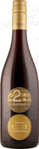 2022 Retzbach Benediktusberg Pinot Noir trocken "Clees"