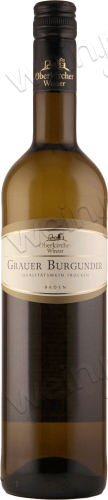 2023 Grauburgunder trocken "Vinum Nobile"